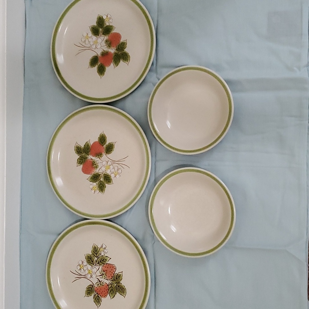 Vintage Spring Collection Stoneware Strawberry Patch dishes